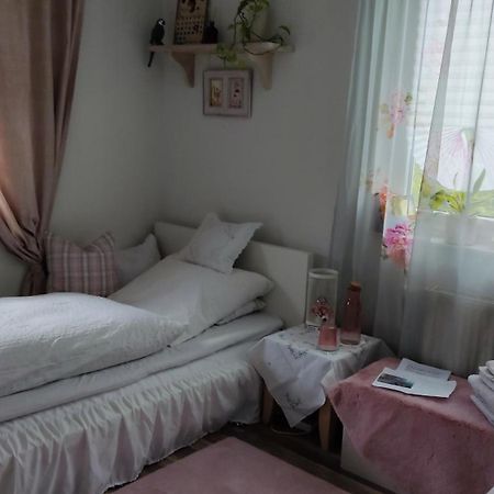 Gemuetliches Einzelzimmer Frisch Renoviert ,Super Late Check In Moeglich Brake (Bielefeld) Ngoại thất bức ảnh